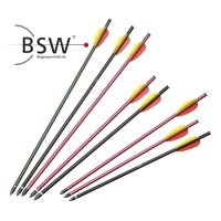 Zusätzliche Armbrust-Bolzen - 20 Zoll
