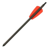 Flèches d'arbalète supplémentaires