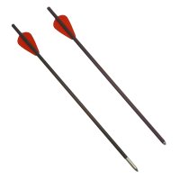 Flèches d'arbalète supplémentaires