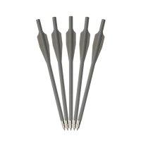 Flèches d'arbalète assorties