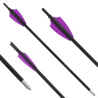 Flèches d'arbalète supplémentaires