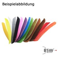 Federnfarben