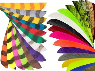 Plumes naturelles