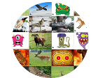 Supports pour animaux