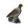 LEITOLD Poule faisane