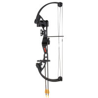 BEAR ARCHERY Brave 3 - Set darcs à poulies