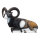 SRT Mouflon assis
