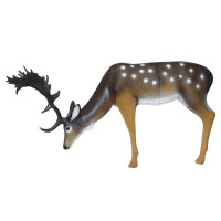 SRT Äsender Damhirsch