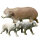 LEITOLD Petit ours noir / ours polaire / ours brun