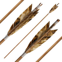 Komplettpfeil | BSW Elements - Holz