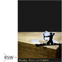 BSW I