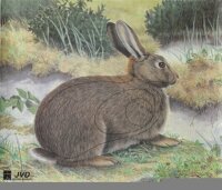 Lapin 40x33cm - Nylon renforcé - Blason nature