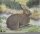 Lapin 40x33cm - Nylon renforcé - Blason nature