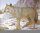 Loup 80x100 cm - Renforcé en nylon - Blason nature