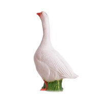 IBB 3D Gans