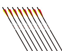 GOLD TIP Swift - Carbonbolzen - 20 Zoll
