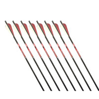 GOLD TIP Nitro - Carbonbolzen - 18 Zoll