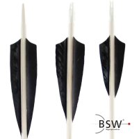 Plumes naturelles: 5 pouces Shield