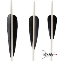 Plumes naturelles: 4 pouces Parabol