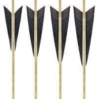 Plumes naturelles: 5 pouces Indian Style