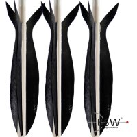 Plumes naturelles: 5 pouces Barracuda