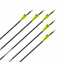 Komplettpfeil | EASTON A/C/E - Aluminium-Carbon