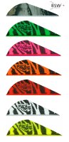 BOHNING Tiger Stripe Blazer - 2,00 Zoll