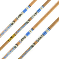 Tube | GOLD TIP Traditional XT - carbone - incl. came GT...