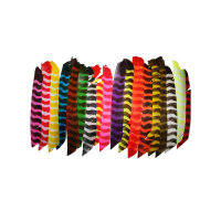 TRUEFLIGHT Plume naturelle Barred - rayée - tordue...