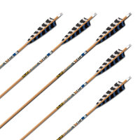 Flèche complète | GOLD TIP Traditional XT -...