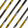 Tube | GOLD TIP Hunter Pro Black - Carbon - incl. came GT et insert Accu-Lite