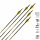 Flèche complète | GOLD TIP Hunter Pro Black - Carbon