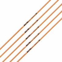 Tube | GOLD TIP Traditional - carbone - incl. came GT et...