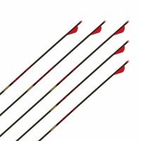 Flèche complète | GOLD TIP Velocity - Carbone