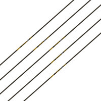 Tube | GOLD TIP Velocity Pro - carbone - incl. came...