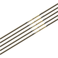 Tube | GOLD TIP Ultralight Pro - carbone