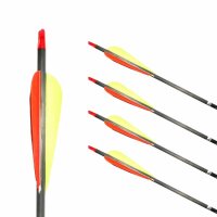 Flèche complète | GOLD TIP Ultralight Pro -...