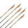 Flèches darbalète | GOLD TIP Ballistic - carbone - 14-22 pouces