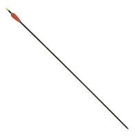 Komplettpfeil | EASTON Inspiré - Carbon