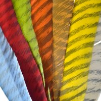 GATEWAY Plume naturelle Barred - Rayée - Tordue...