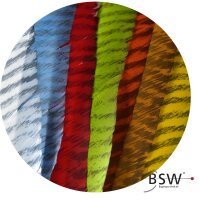 GATEWAY Plume naturelle Barred - Rayée - Tordue...