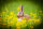 CENTER-POINT 3D Hase - Made in Germany