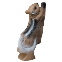 FRANZBOGEN - Streifenhörnchen