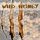 [SPÉCIALE] SET DRAKE Wild Honey - Take Down - 62-70 pouces - Arc recurve - 18-38 lbs