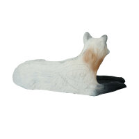 LEITOLD Loup blanc - couché