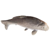 ELEVEN Target 3D Carpe