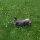 NATURFOAM Lapin - fuyant