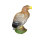 NATURFOAM Aigle
