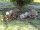 NATURFOAM Hase - geduckt