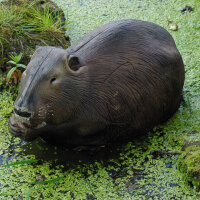 NATURFOAM Castor - mangeur